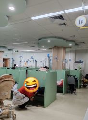 -上海交通大学医学院附属上海儿童医学中心(陆家嘴总院区)