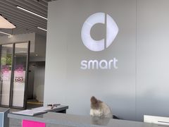 -上海浦东smart汽车全功能店(金桥店)