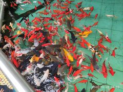 -陕西自然博物馆