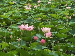 -滴水岩森林公园