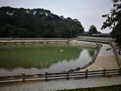-广州市帽峰山景区