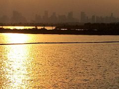 -合肥滨湖国家森林公园