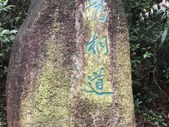 -梧桐山风景名胜区