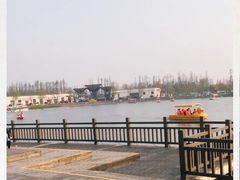 -上海长兴岛郊野公园