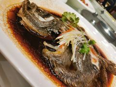 清蒸多宝鱼-文杏酒楼(一品天下店)
