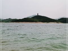 -望湖烤鱼