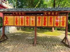 -江西龙虎山景区
