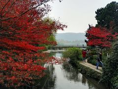 -西湖外事游船(花港观鱼码头)