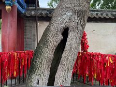 -蓬莱阁景区