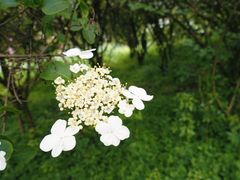 -苏州上方山国家森林公园