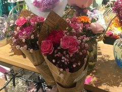 -超级物种(省府店)