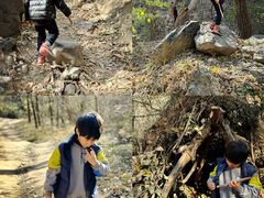 -大觉寺-停车场