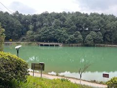 -铁山坪森林公园