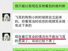 -翊宠yipet猫狗购宠庄园犬舍•猫舍