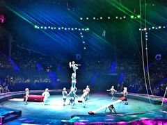 -珠海横琴长隆《卡卡虎奇遇记》