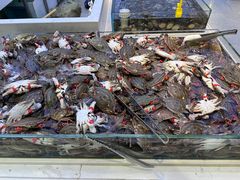 -集品鲜湾·蒸汽海鲜自助料理(青岛银座和谐广场店)