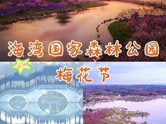 -上海海湾国家森林公园