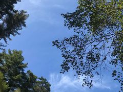 -五营红松林海景区