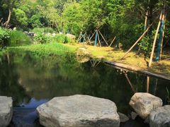 -白水寺森林公园