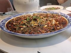 -新概念来凤鱼(璧山店)