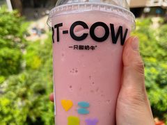 -一只酸奶牛(曲江龙湖星悦荟店)