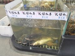 -大灶头·新昌菜(中国茶市店)