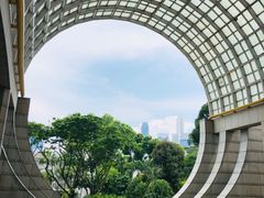 -新加坡丽思卡尔顿美年酒店