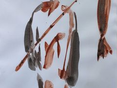 -上海明天广场JW万豪酒店