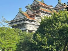 -顺峰山公园