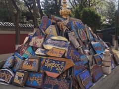 -护国法轮寺