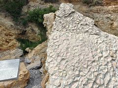 -大连金石滩滨海国家地质公园