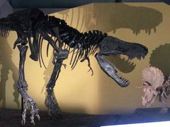 -湖南省地质博物馆