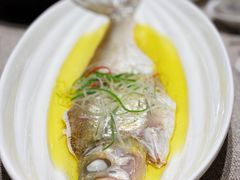 葱油清蒸白鱼-太湖饭店·寄畅轩中餐厅