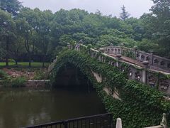-梅园