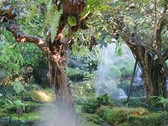 -Chom Cafe and Restaurant