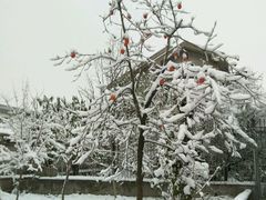 -哆来咪火锅烤肉自助(牌楼店)