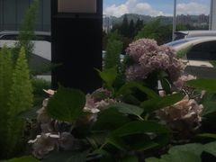 -OGGI TRATTORIA PIZZERIA(深业上城店)