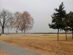 -汉长安城未央宫国家考古遗址公园