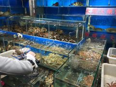 -岳各庄批发市场(西四环中路店)