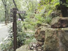 -宝岩生态观光园