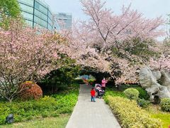 -北外滩滨江绿地