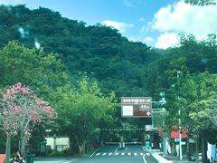 -海南热带雨林国家公园吊罗山景区