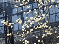 -衡山路(地铁站)