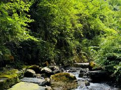 -鹿院坪生态旅游景区