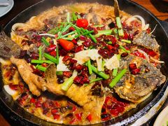 -老板恋上鱼(恒隆广场店)