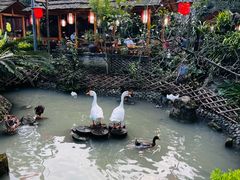 -青城甲(青城山店)