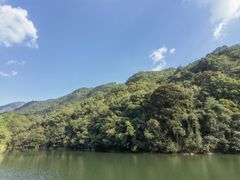 -雁南飞茶田景区