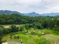 -成都蒲江花样年福朋喜来登度假酒店·宜客乐西餐厅