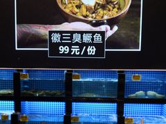 水产区-徽三说·土徽菜·中国徽菜连锁品牌(一中店)