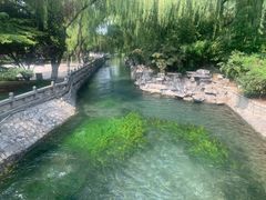 -百脉泉景区